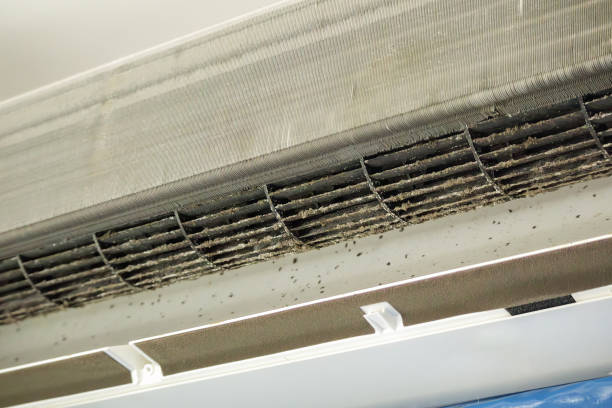 Best General Air Duct Cleaning  in St Johns, AZ